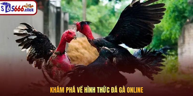 Đá gà online được biết đến là hình thức giải trí ăn khách