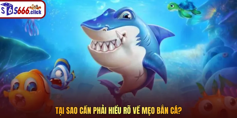 Tại sao cần phải hiểu rõ về mẹo bắn cá