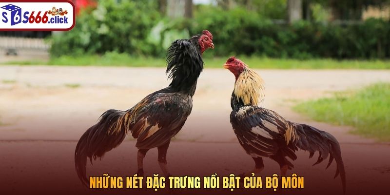 Những nét đặc trưng nổi bật của bộ môn